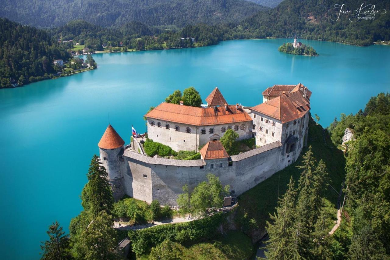 Castle Way Apartments Tamy Bled Zewnętrze zdjęcie